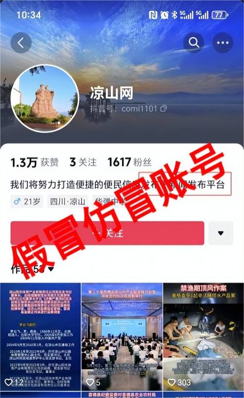 别被仿冒网站绕了