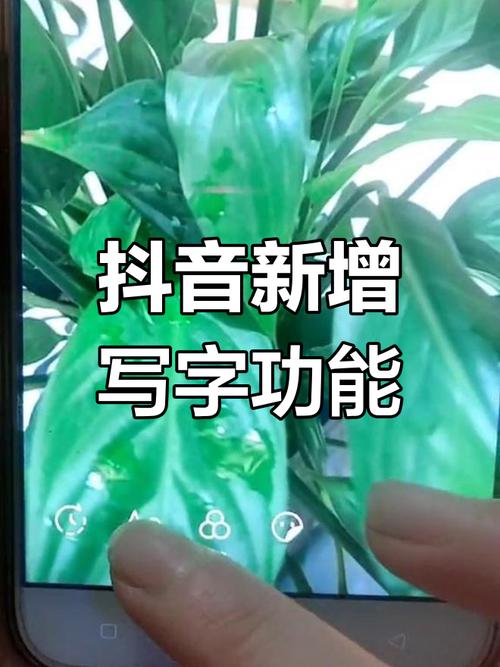 抖音新增功能，如何利用这些内容吸引观众？