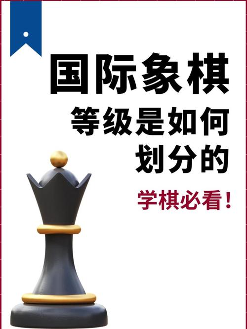 商会网站建设开发,从基础到进阶指南