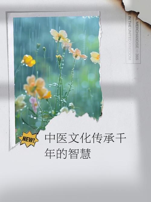 传承网络，文化传承的智慧与实践