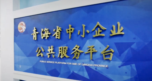 青海营销型网站,如何打造成功案例