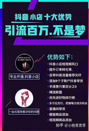 抖音浏览量网站排名与热门代网站推荐,如何选择提升收益