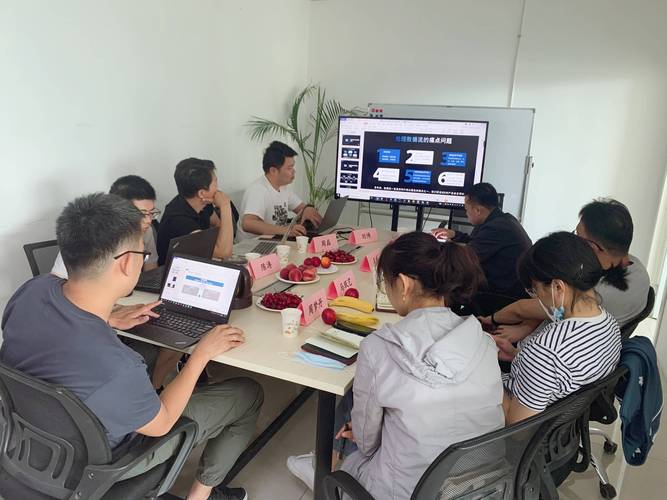 新疆网络运营外包公司，助力新疆互联网繁荣的another choice