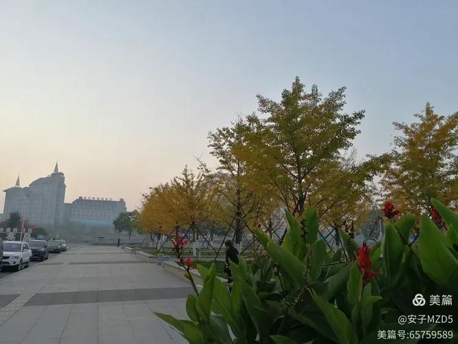 探索南京赤巢网络科技，了解其价值与潜力