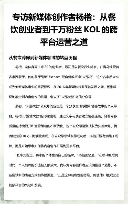 精准定位，精准转化，抖音赞5平台与ks粉自助的精准运营之道