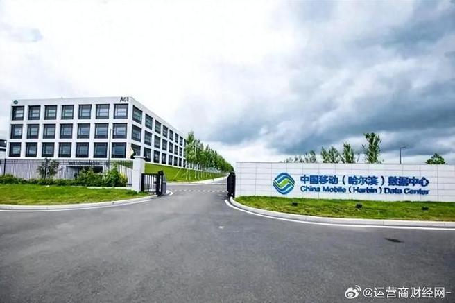 哈尔滨有名网络公司，技术驱动的未来