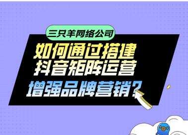 大邑网络公司，如何成功运营？