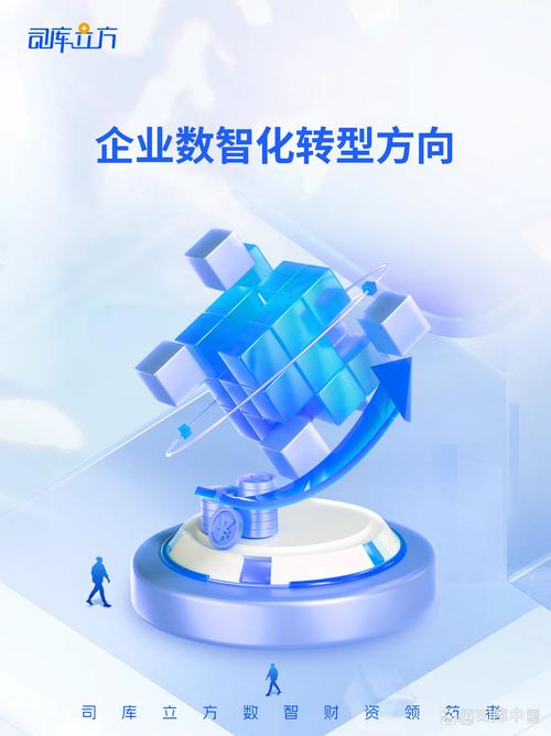 石碣网络公司,精准定位、高效运营、数据驱动决策