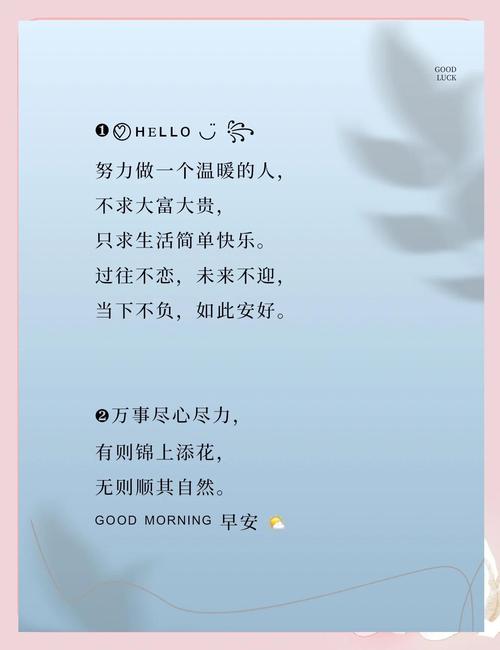 抖音无限赞与置顶点赞秒,你的必选内容