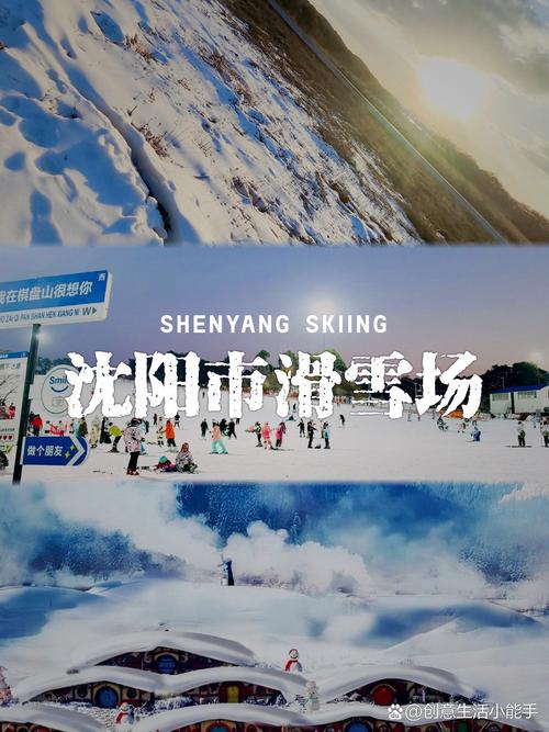 沈阳 skating 网站，让生活更精彩