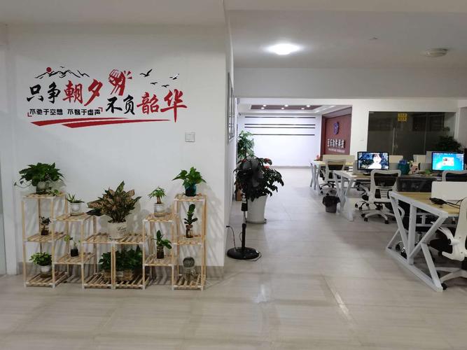 沧州网络销售公司,助力精准营销,开启商业新路径