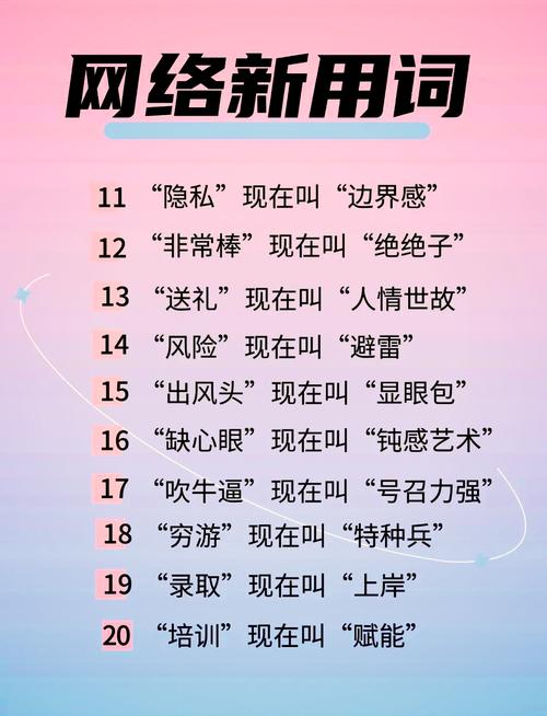 网络用语指南