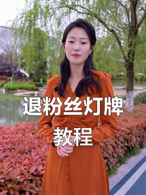 高效获取快手粉丝,秒发现粉技巧与支付指南