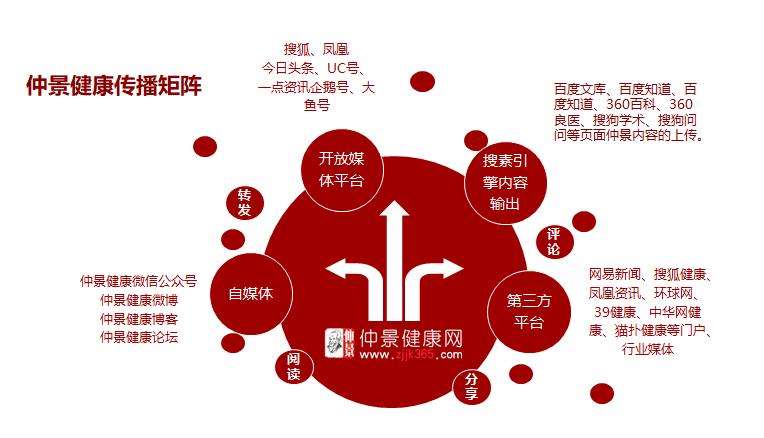 足球网站建设指南,打造品牌传播的数字化新战场