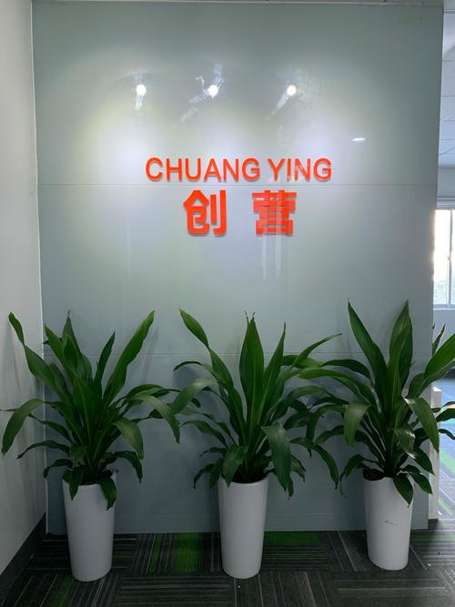 深圳微站网络公司，是一家专注于网络设计、优化与提升的互联网企业。自成立以来，公司始终秉承客户至上、技术领先的理念，通过专业的技术团队和优质的服务，为众多企业提供高效、优质、安全的网络解决方案