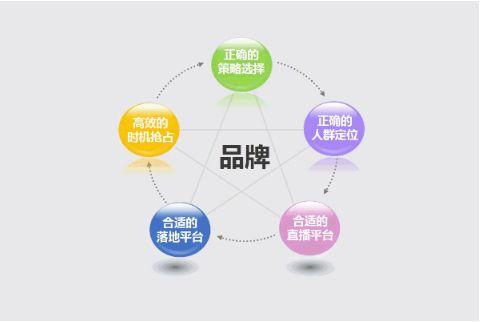 网络品牌塑造优化方案