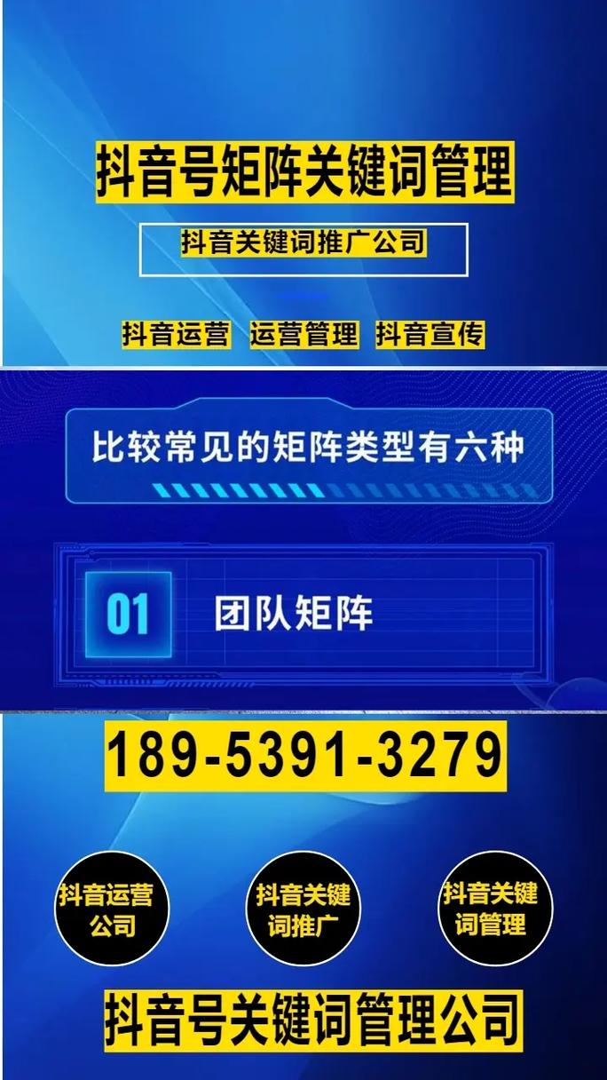 抖音推广自助下单平台，引流与转化的关键之路