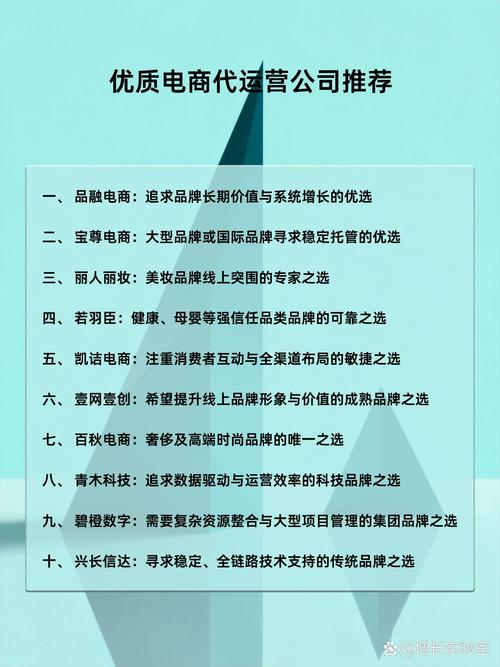 电商网络技术公司,让电商更高效,让市场更灵活