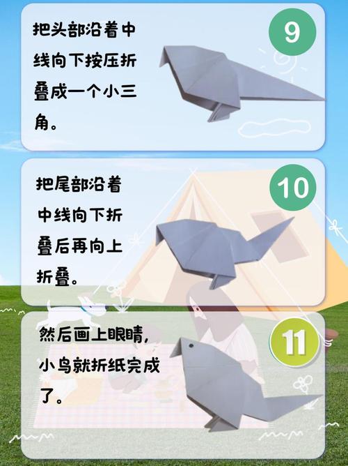 如何制作高质量的小鸟代网视频,从拍摄到发布