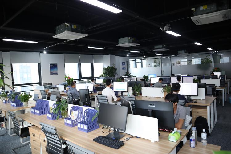 网络公司技术部,技术与管理的完美结合