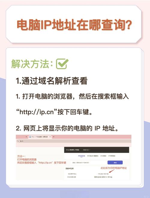 了解中文网络域名查询