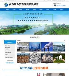 山东网站建设的类型