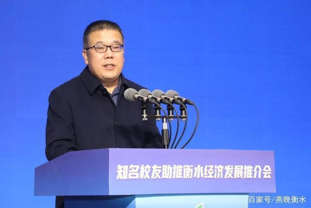 衡水网络，财富之网的崛起之路