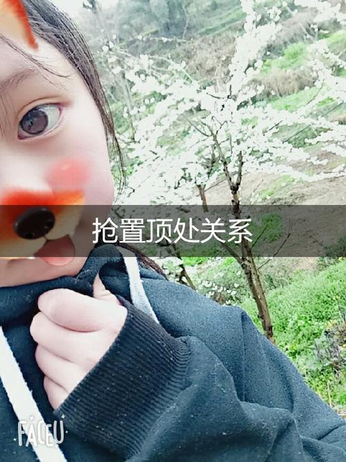 快手置顶评论,免费、高效、高曝光的商业策略
