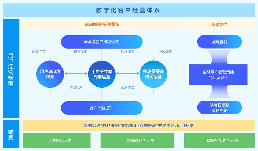 传企网络,守护数字时代的多元化解决方案