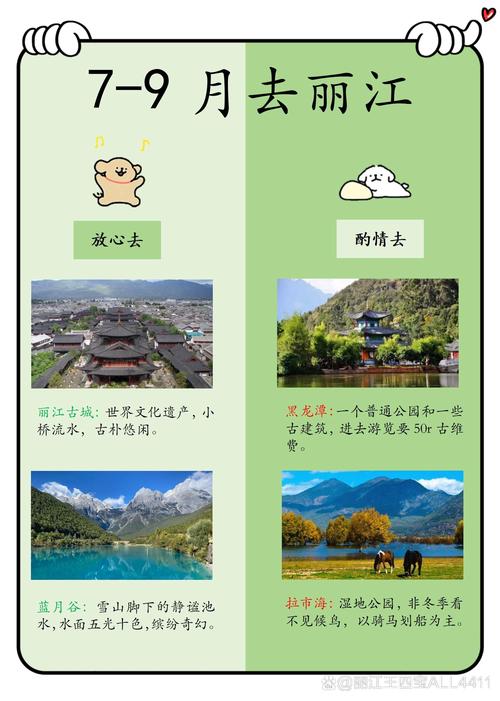 如何让丽江成为网络推广的Goldmine?