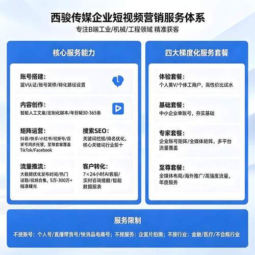 抖音短视频在线播放业务，用户需求与平台竞争