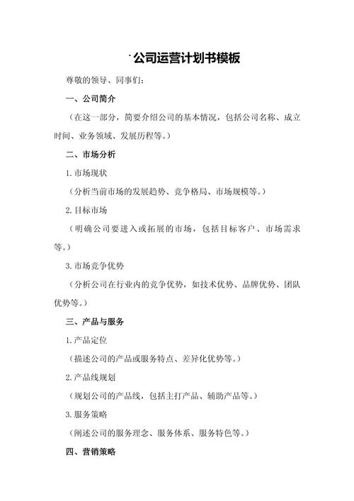 网络公司，从战略到运营的完整指南