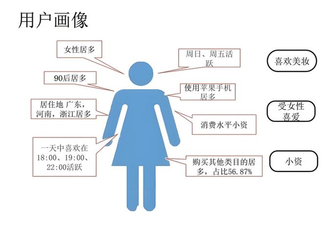 网络客户体验设计，从用户画像到用户行为分析