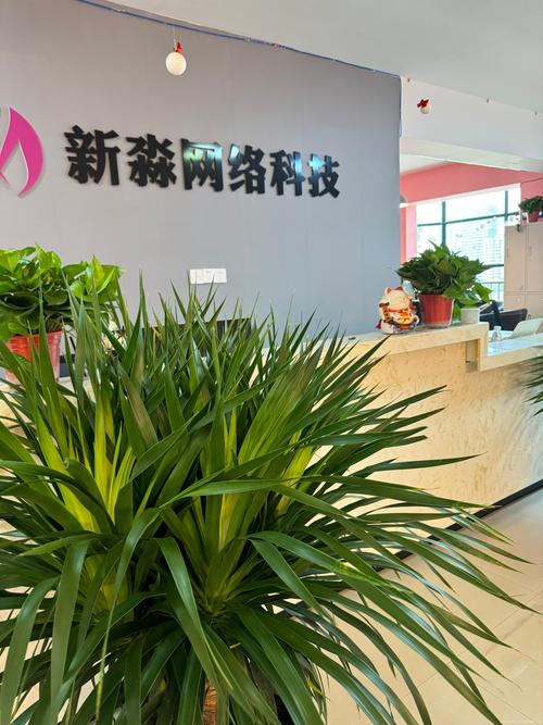 河南南阳网络公司,数字时代未来之选
