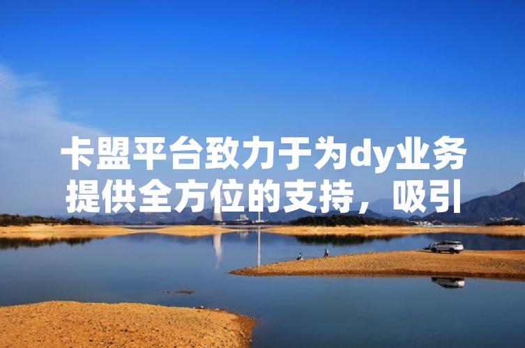 1.卡盟和dy赞业务网的基本信息