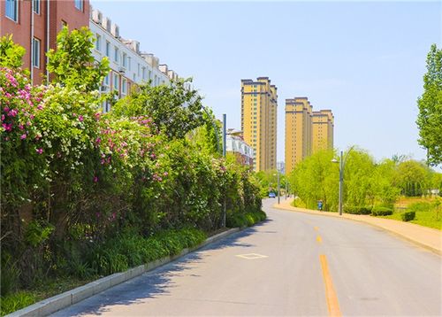 如何打造商河最优质的网站?指南与教学
