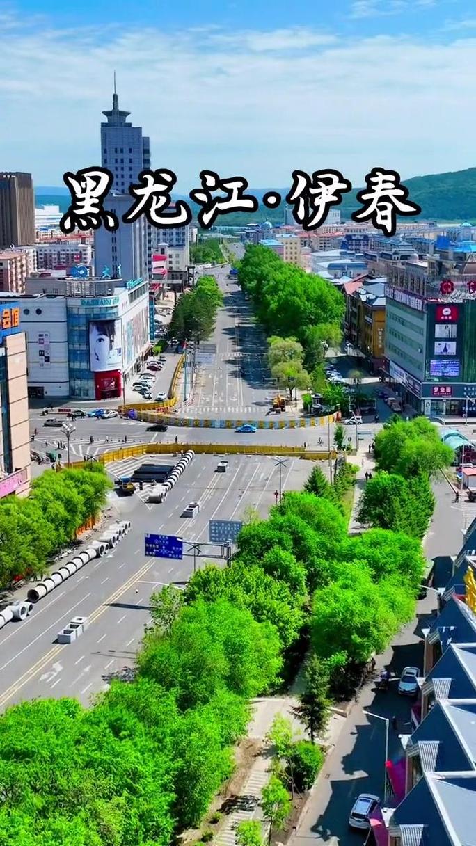 伊春网络宣传，展现城市魅力，助力经济发展