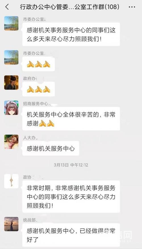 一、莱西网络的定义与重要性