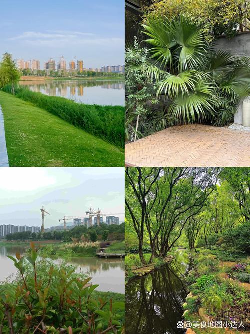 丽水网站建设推荐指南