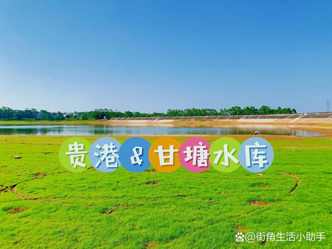 贵港网络推广的指南