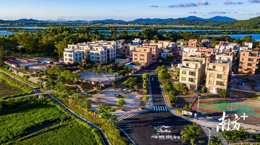 阳江,农业现代化与乡村振兴的创新之路