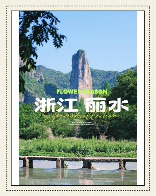 丽水专业网站建设，助力丽水旅游 destination 极具吸引力
