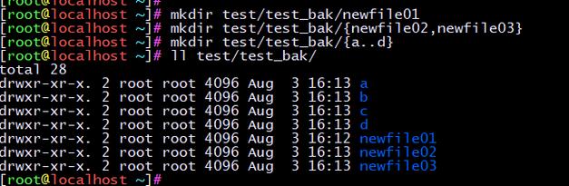 !bin/bash