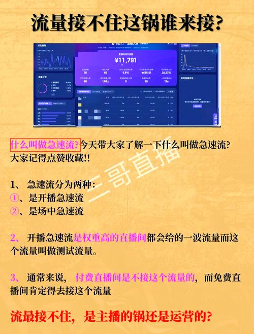 速生平台限流,技术解析与应对策略