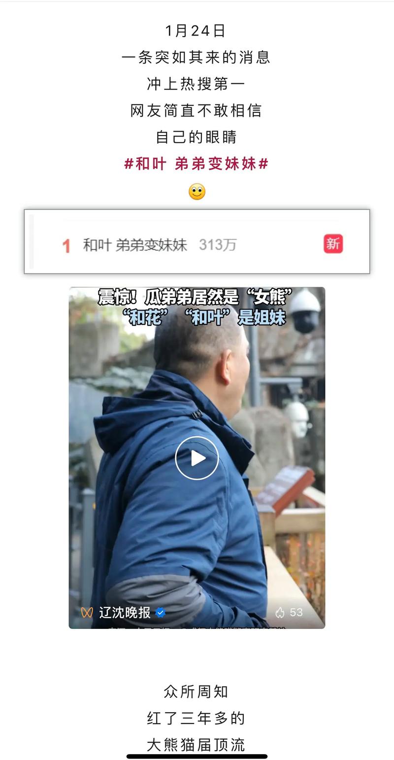 如何轻松在抖音上进行熊猫代刷,双击5个!