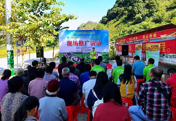 博白网络推广公司有哪些选择?这些公司都有哪些优势?