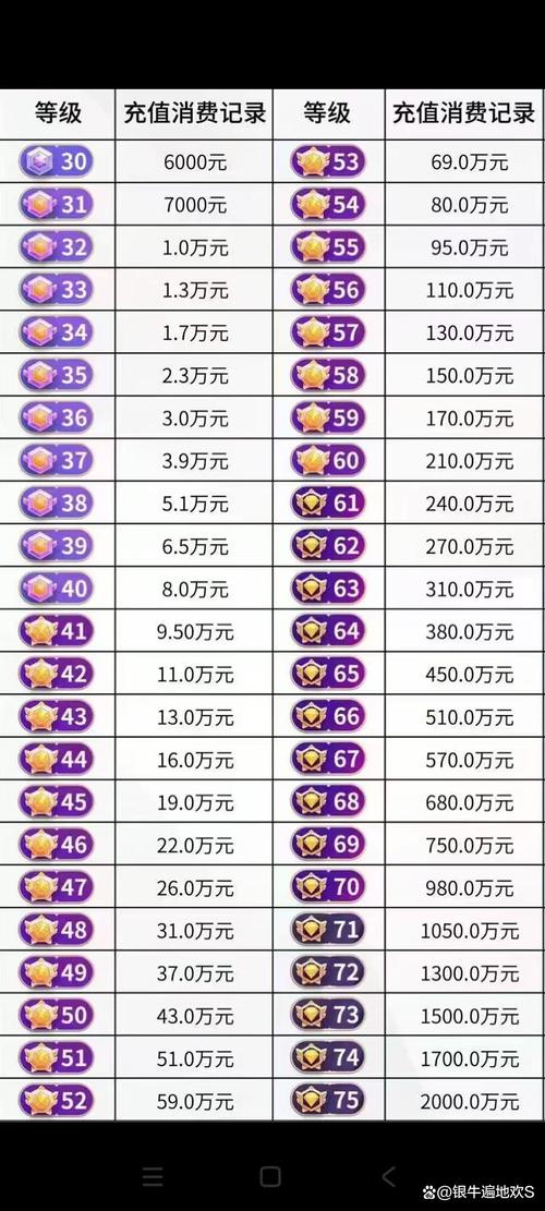 抖音账号等级代，从入门到巅峰的指南