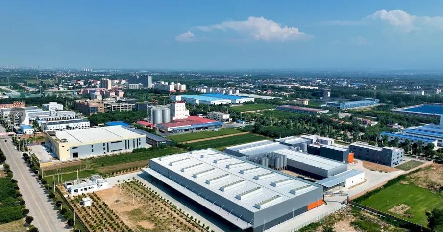 扶风网站建设，助力企业发展之路
