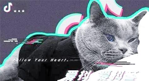 双击分享,如何在抖音上脱颖而出?