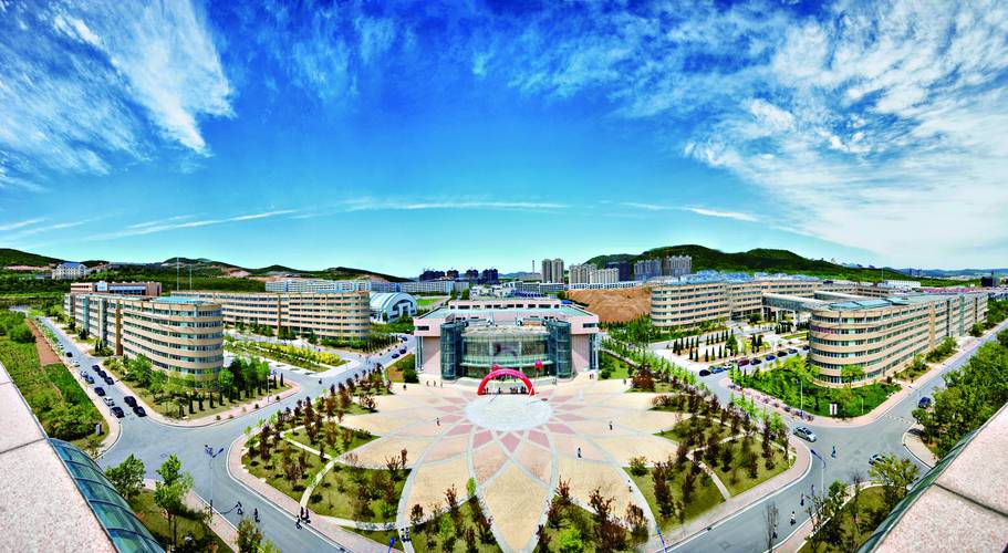 大连现代网站设计与运营指南，助力城市形象提升